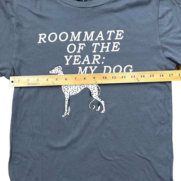 Wildfox NWT Roommate Keke My Dog Distressed Graphic Short Sleeve Gray Tee Small - Picture 7 of 8